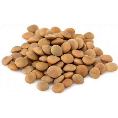 Fitboy Čočka velkozrnná 1 kg – Zbozi.Blesk.cz