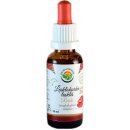 Salvia Paradise Lesklokorka lesklá tinktura bez alkoholu 30 ml