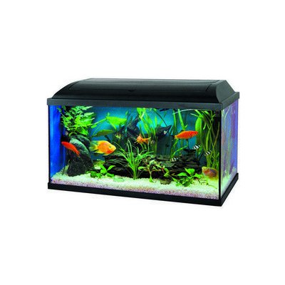 Cat Gato Pacific LED akvarijní set 15W/E27 60 x 30 x 30 cm, 54 l – Zboží Dáma