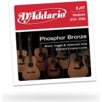 D'addario EJ17 – Sleviste.cz