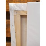 Studio malířské plátno umělecké 50x50 cm – Sleviste.cz