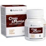 TianDe Active Life Čaga s mumiem 30 kapslí – Hledejceny.cz