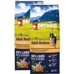 Ontario Adult Medium Lamb & Rice 2 x 12 kg – Hledejceny.cz