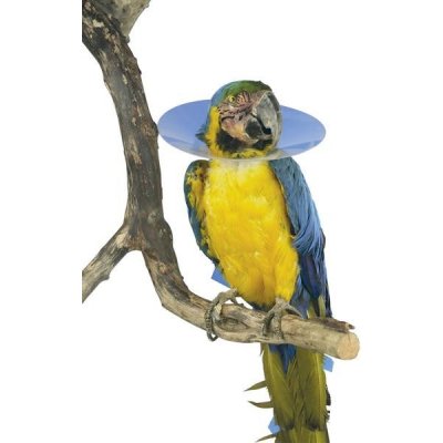 Bird Collar Límec ochranný plastový pro ptáky 14cm – HobbyKompas.cz