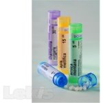 MERCURIUS SOLUBILIS POR 15CH GRA 4G – Zboží Dáma MERCURIUS SOLUBILIS POR 15CH GRA 4G – Zboží Dáma