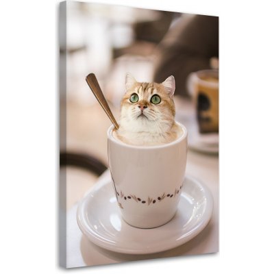 Gario Obraz na plátně do kuchyně Káva Cat - Galina Bugaevskaya Rozměry: 40 x 60 cm – Zboží Mobilmania