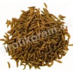 Ebies Kmín celý 50 g – Zboží Dáma