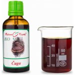 Bylinné kapky Čaga Rezavec BIO plodnice 50 ml – Hledejceny.cz