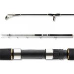 Daiwa BG Pilk Offshore 2,4 m 40-125 g 2 díly – Hledejceny.cz