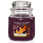 Yankee Candle Autumn Glow 104 g – Zbozi.Blesk.cz