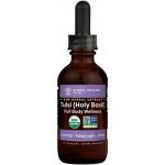 Global Healing RAW extrakt z bazalky posvátné TULSI 59,2 ml – Hledejceny.cz