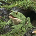 Folkmanis maňásek Ropucha – Zboží Dáma