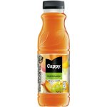 Cappy Multivitamin 330 ml – Zbozi.Blesk.cz