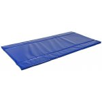 Rohož dezinfekční Standard 180 x 90 x 4 cm – Hledejceny.cz