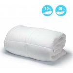 přikrývka Péřová prošívaná přikrývka Comfort 1600 g 200x200 – Sleviste.cz