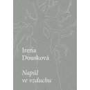 MARTIN REINER, Nakladatelství Druhé město Napůl ve vzduchu