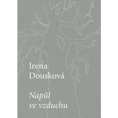 MARTIN REINER, Nakladatelství Druhé město Napůl ve vzduchu – Zboží Mobilmania