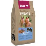 Pavo Healthy Treats Lněné semínko 1 kg – Zboží Dáma