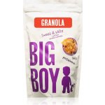 Big Boy Proteinová granola Sweet and Salty granola příchuť Salted Caramel 360 g – Zboží Dáma