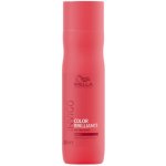 Wella Invigo Color Brilliance Color Protection Coarse Shampoo 1000 ml – Hledejceny.cz