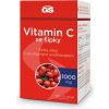 Doplněk stravy GS GS Vitamin C 1000 se šípky, 100+20 tablet