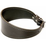 BafPet Kožený obojek pro chrty – Sleviste.cz