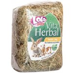 Lolo Pets Seno Hlodavec 250 g – Hledejceny.cz