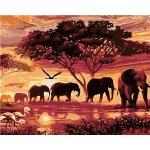 zuty Malování podle čísel Sloni 50 x 40 cm bez rámu a bez vypnutí plátna