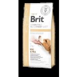 Brit Veterinary Diet Dog Grain Free Hepatic 2 kg – Zbozi.Blesk.cz