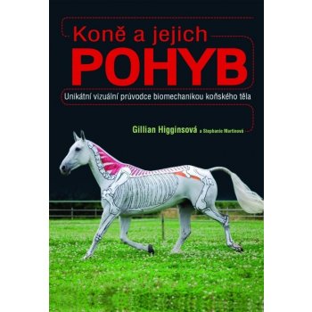 Koně a jejich pohyb