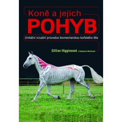 Koně a jejich pohyb – Zbozi.Blesk.cz