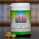 TCM Herbs Krůpěj z lesní studánky 100 tablet – Hledejceny.cz