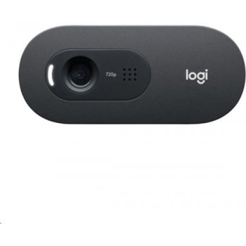 Logitech C505 HD Webcam