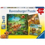 Ravensburger Zvířata v zoo lese nebo v domě 3 x 49 dílků – Hledejceny.cz