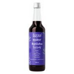 Sirupárna Domácí Borůvka & Šalvěj Sirup 0,5 l – Sleviste.cz