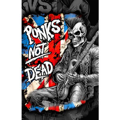 Punks Not Dead - Guitar (vlajka) – Hledejceny.cz