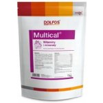 Dolfos Multical přípravek s minerály a vitamíny pro psy 1 kg – Hledejceny.cz