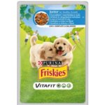 Purina Friskies Junior s kuřetem a mrkví ve šťávě 100 g – Zboží Mobilmania