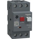 Schneider Electric GZ1E08 – Hledejceny.cz