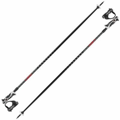 Leki Hot Shot S 2024/25 – Zboží Dáma