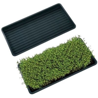 Garland podmiska plast Microgreens Tray 56 x 28 x 3 cm – HobbyKompas.cz