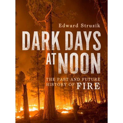 Dark Days at Noon: The Future of Fire Struzik EdwardPevná vazba