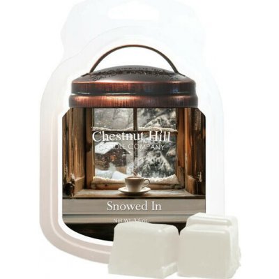 Chestnut Hill Candle Vonný Vosk Snowed In 105 g – Hledejceny.cz