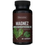 Skoczylas Magnesium 4 formy (Špenát, Kapusta) 60 kapslí – Hledejceny.cz