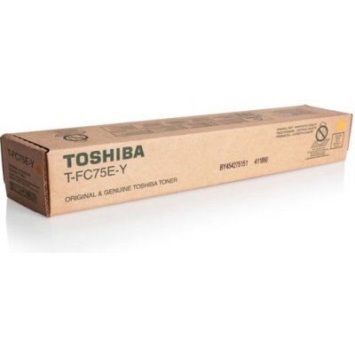 Toshiba 6AK00000254 - originální