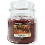 Yankee Candle Woodland Road Trip 411 g – Zbozi.Blesk.cz