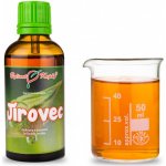 Bylinné kapky Gemmoterapie Jírovec pupeny tinktura z pupenů 50 ml – Hledejceny.cz