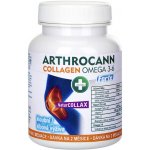 Annabis Arthrocann Collagen Omega 3-6 Forte 60 tablet – Hledejceny.cz