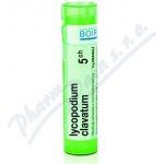 LYCOPODIUM CLAVATUM POR 30CH GRA 1X4G – Hledejceny.cz