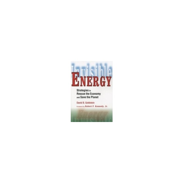 E-book elektronická kniha Invisible Energy - Goldstein David B.